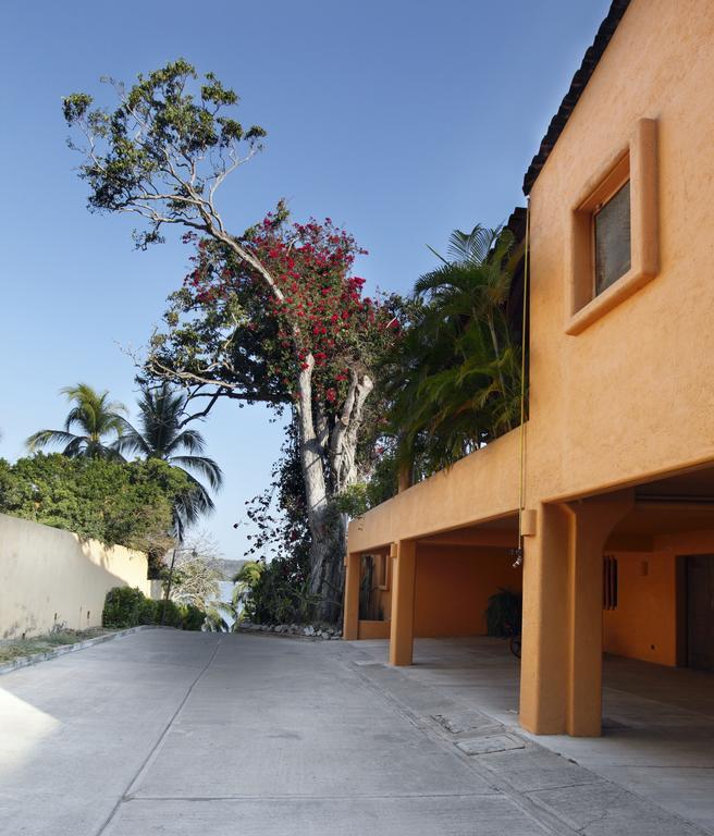 Hotel Casa Don Francisco Ixtapa  Szoba fotó